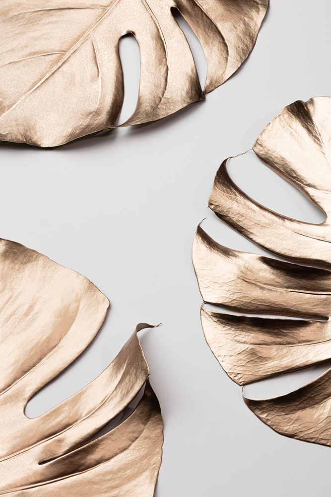 Monstera Gold 01 art print by 1x Studio III for $57.95 CAD