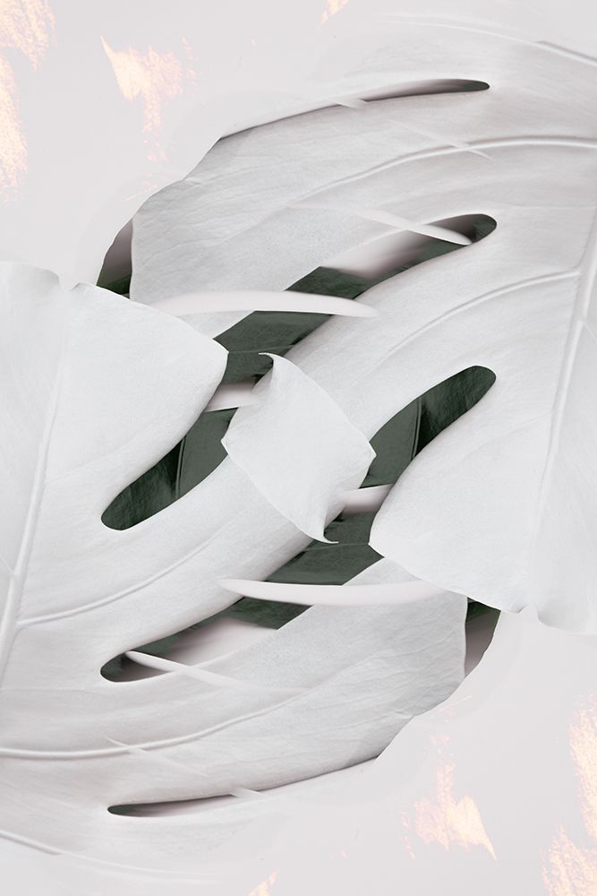 Monstera White 02 art print by 1x Studio III for $57.95 CAD