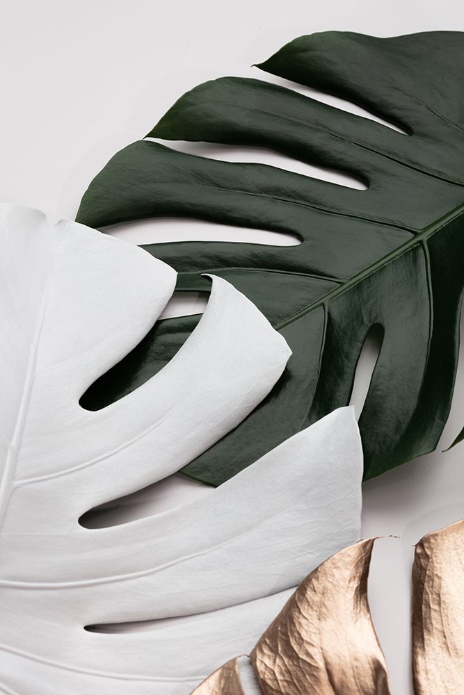 Monstera Colors 01 art print by 1x Studio III for $57.95 CAD