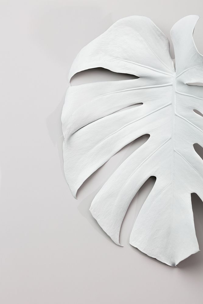 Monstera White 01 art print by 1x Studio III for $57.95 CAD