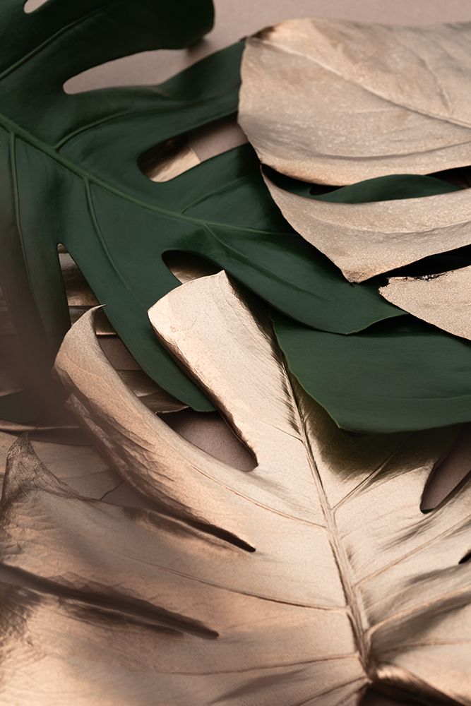 Monstera Mix 01 art print by 1x Studio III for $57.95 CAD