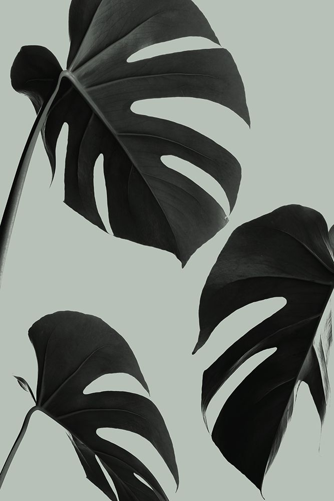 Monstera Teal 05 art print by 1x Studio III for $57.95 CAD