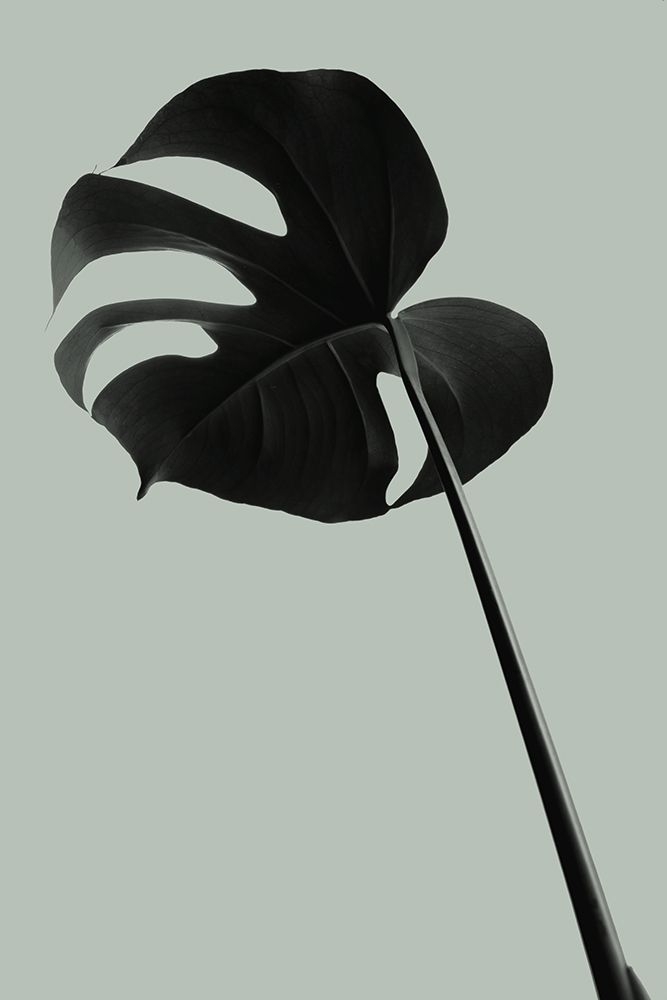 Monstera Teal 06 art print by 1x Studio III for $57.95 CAD