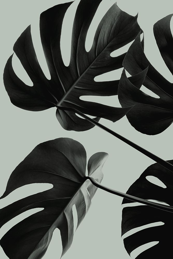 Monstera Teal 08 art print by 1x Studio III for $57.95 CAD