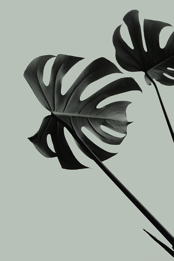 Monstera Teal 09 art print by 1x Studio III for $57.95 CAD