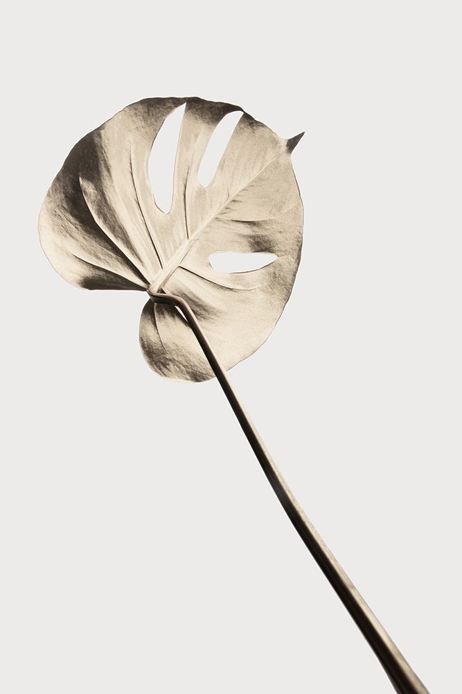 Monstera Gold 03 art print by 1x Studio III for $57.95 CAD