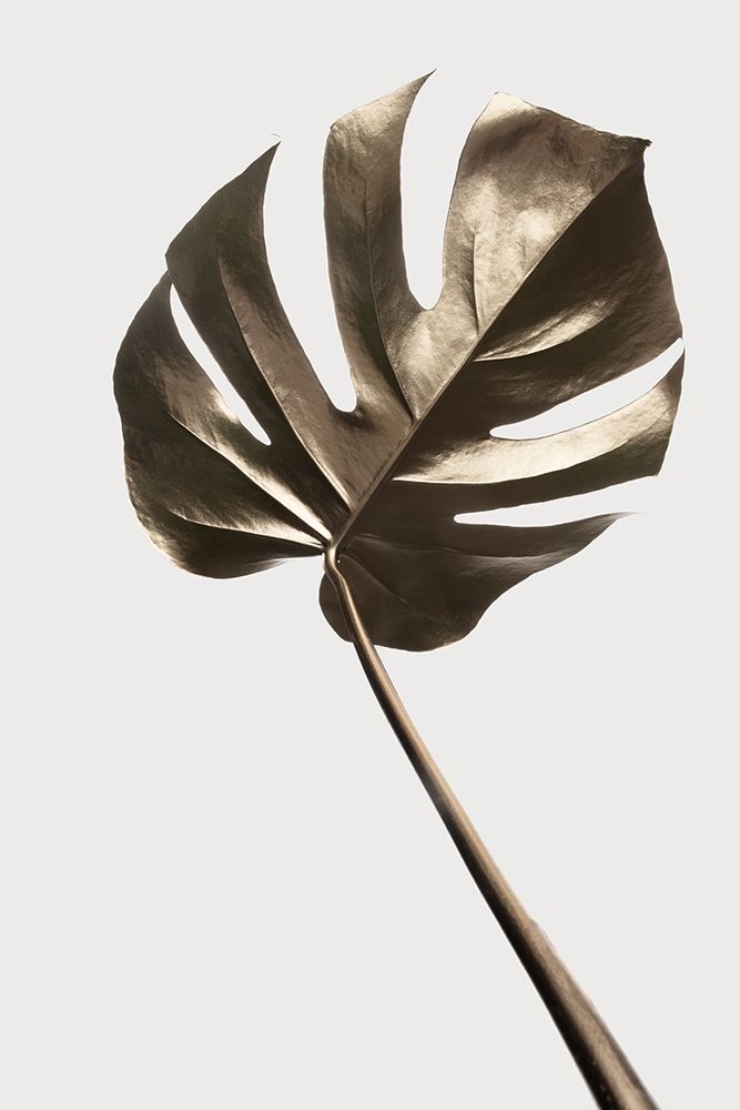 Monstera Gold 04 art print by 1x Studio III for $57.95 CAD