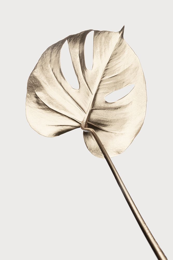 Monstera Gold 05 art print by 1x Studio III for $57.95 CAD
