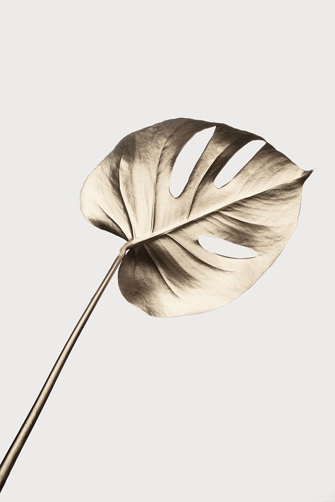Monstera Gold 07 art print by 1x Studio III for $57.95 CAD