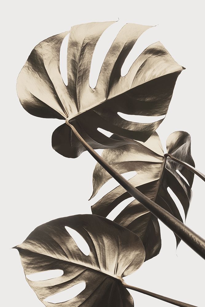 Monstera Gold 09 art print by 1x Studio III for $57.95 CAD
