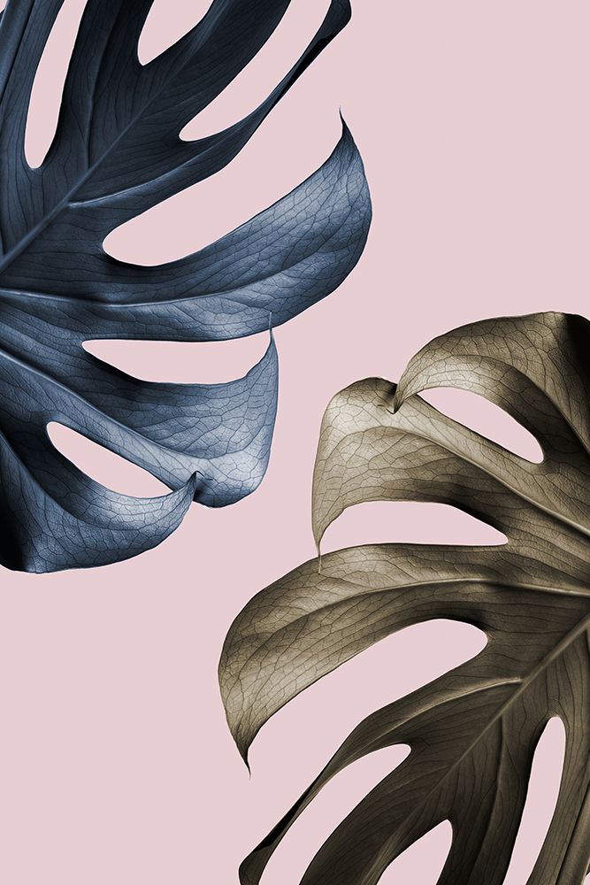 Monstera Pink Light 01 art print by 1x Studio III for $57.95 CAD