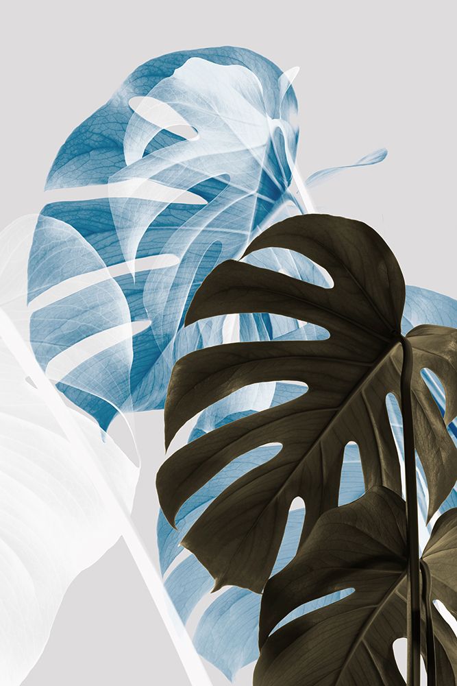 Monstera Creative 02 art print by 1x Studio III for $57.95 CAD