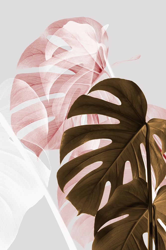 Monstera Creative 04 art print by 1x Studio III for $57.95 CAD
