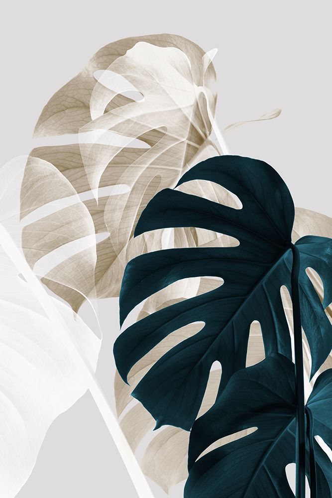 Monstera Creative 05 art print by 1x Studio III for $57.95 CAD
