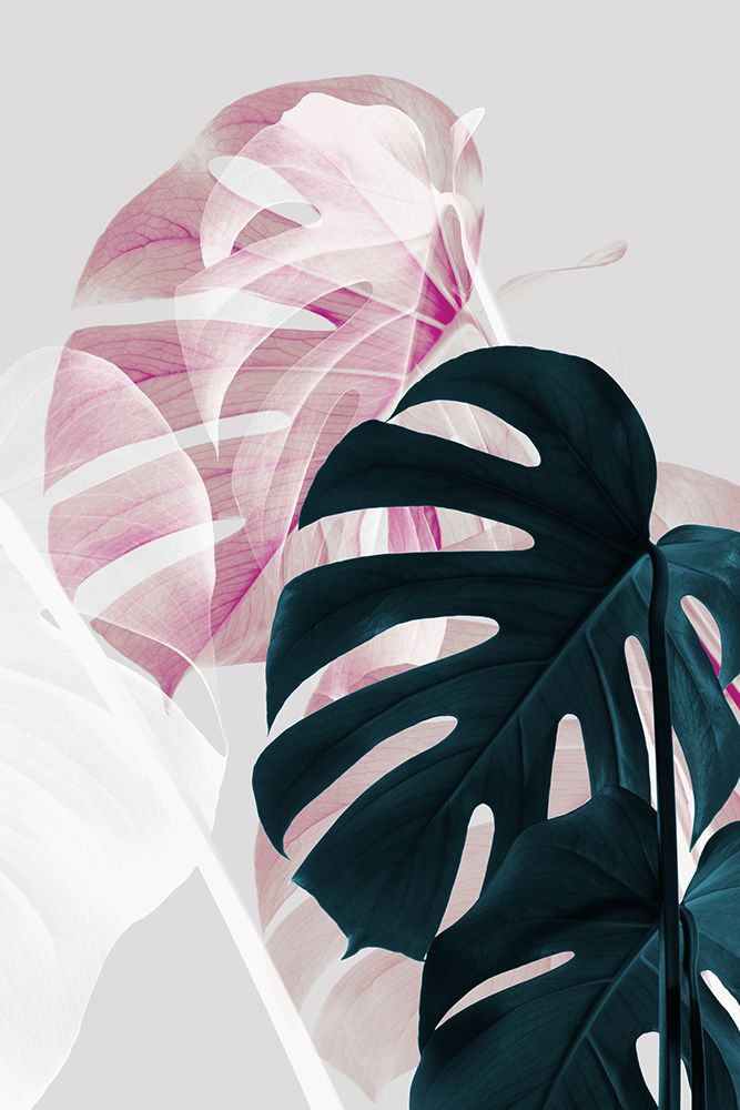 Monstera Creative 08 art print by 1x Studio III for $57.95 CAD