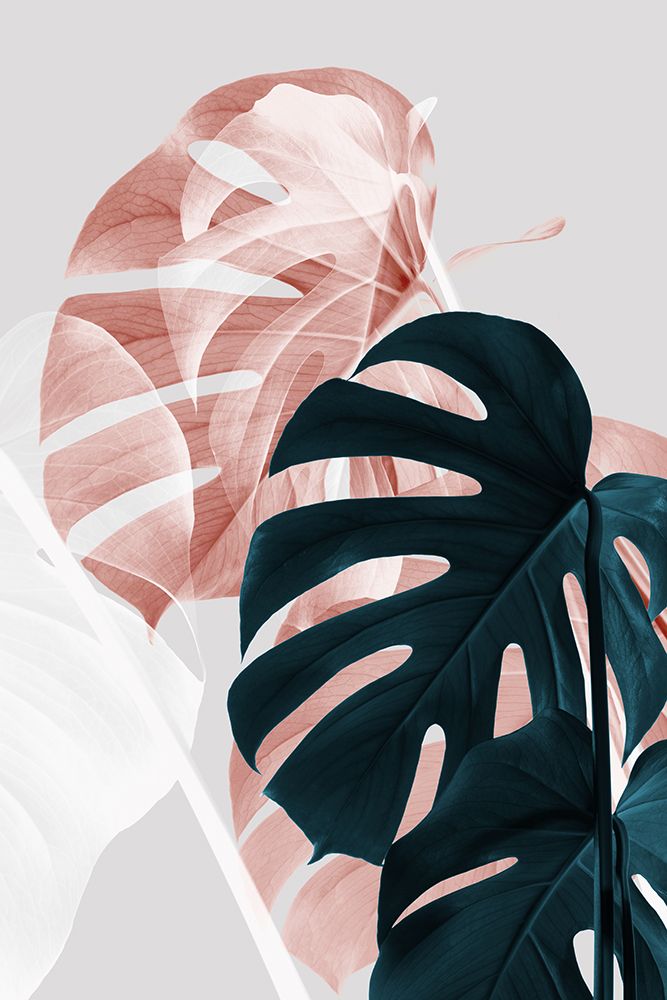 Monstera Creative 09 art print by 1x Studio III for $57.95 CAD