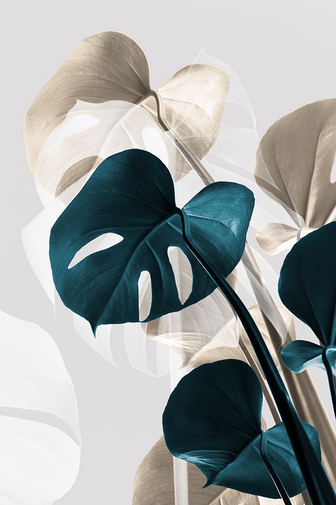 Monstera Creative 10 art print by 1x Studio III for $57.95 CAD