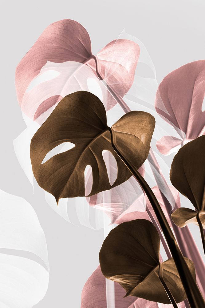 Monstera Creative 11 art print by 1x Studio III for $57.95 CAD