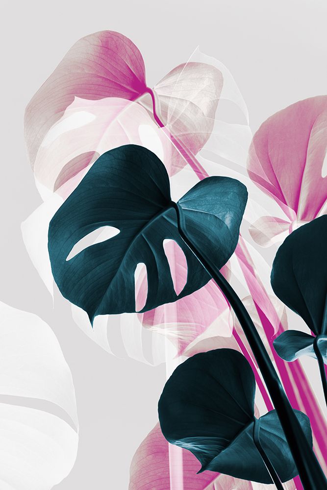 Monstera Creative 12 art print by 1x Studio III for $57.95 CAD