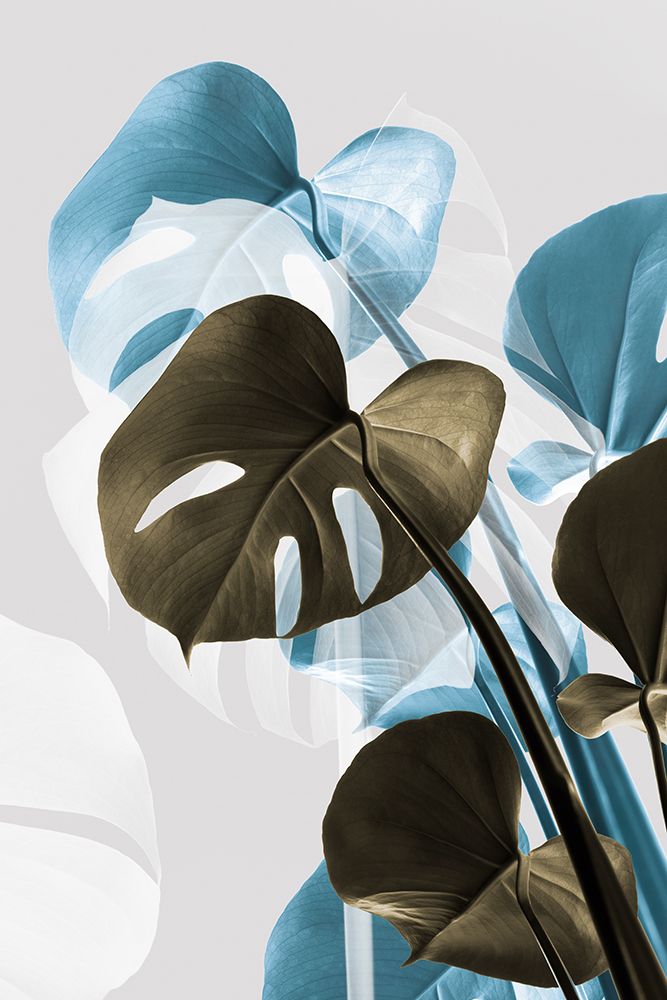 Monstera Creative 13 art print by 1x Studio III for $57.95 CAD