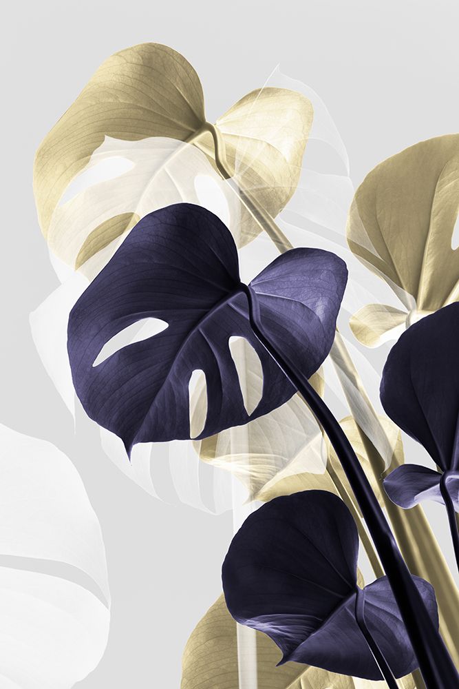 Monstera Creative 14 art print by 1x Studio III for $57.95 CAD