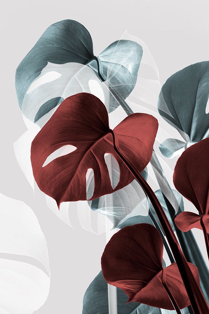 Monstera Creative 15 art print by 1x Studio III for $57.95 CAD