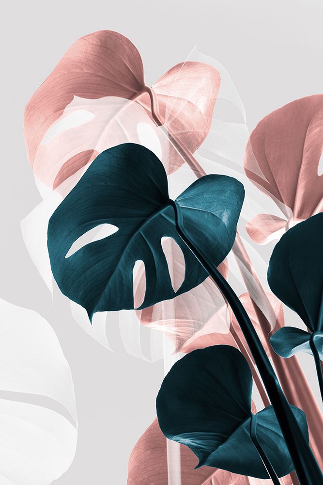 Monstera Creative 17 art print by 1x Studio III for $57.95 CAD