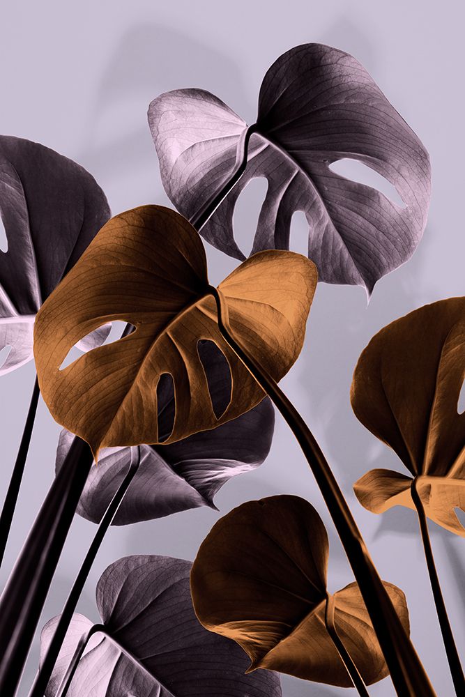 Monstera Purple 01 art print by 1x Studio III for $57.95 CAD