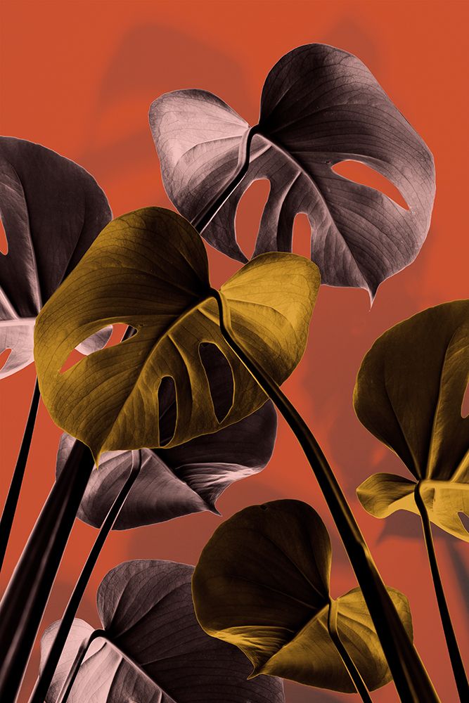 Monstera Orange 01 art print by 1x Studio III for $57.95 CAD