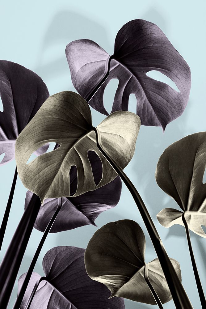 Monstera Blue 01 art print by 1x Studio III for $57.95 CAD