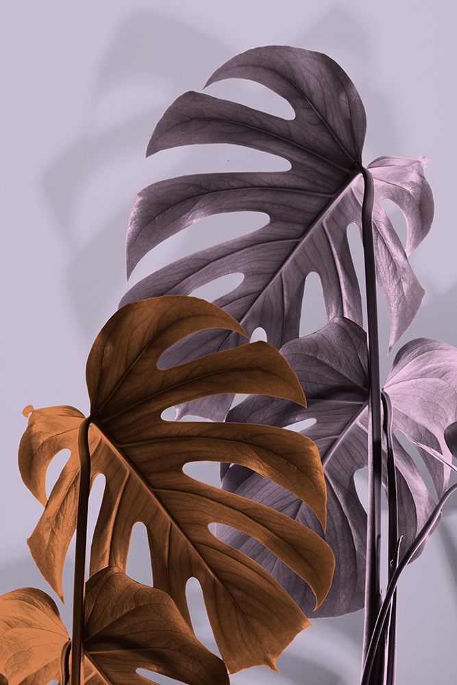 Monstera Purple 02 art print by 1x Studio III for $57.95 CAD
