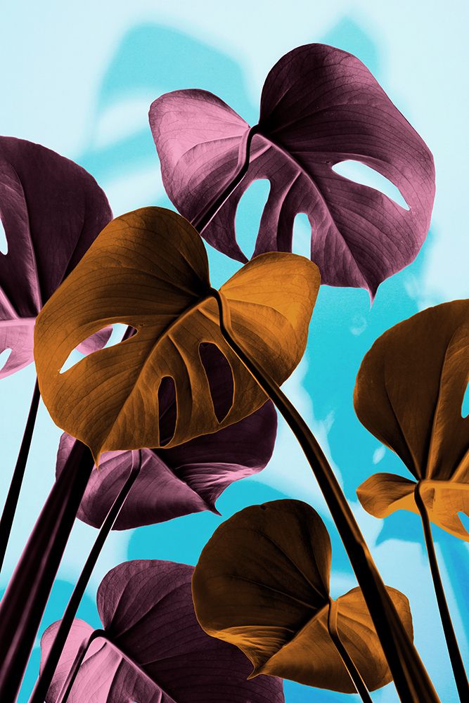 Monstera Blue 03 art print by 1x Studio III for $57.95 CAD