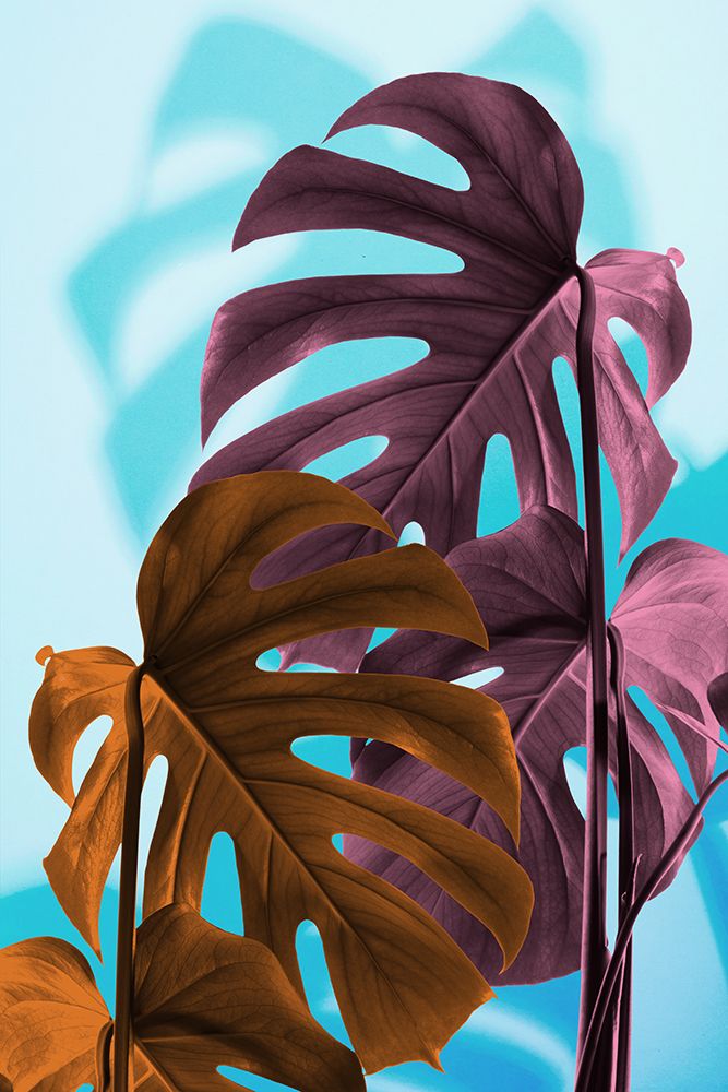 Monstera Blue 04 art print by 1x Studio III for $57.95 CAD