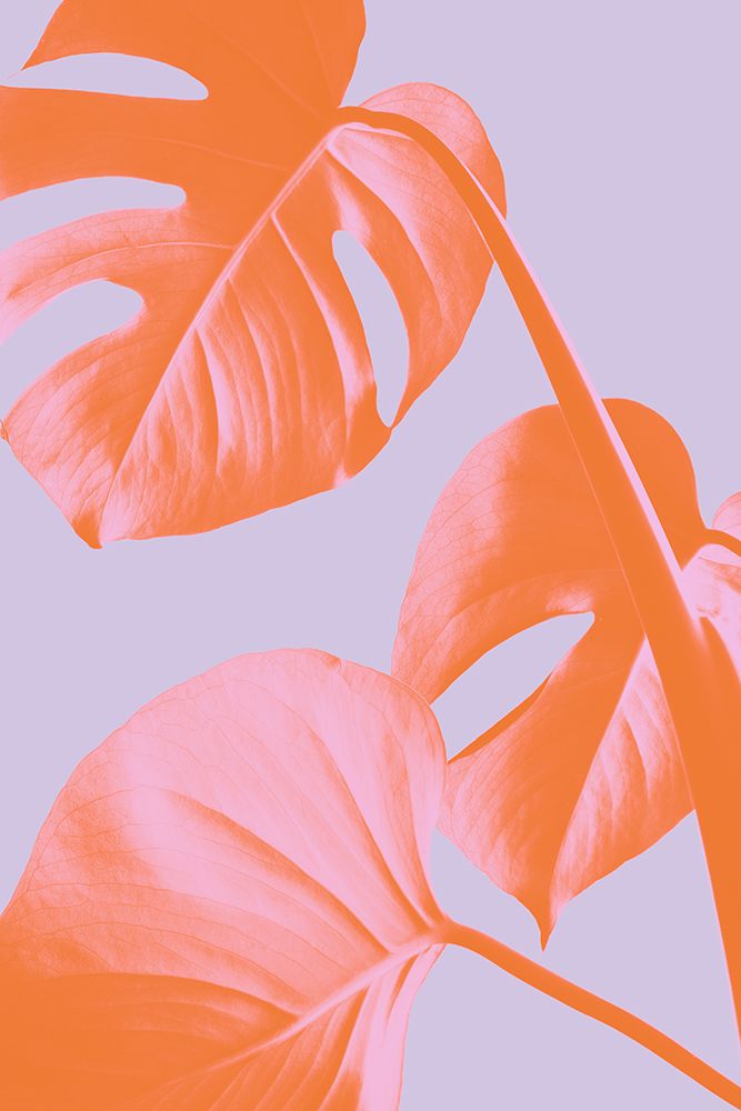 Monstera Purple 03 art print by 1x Studio III for $57.95 CAD