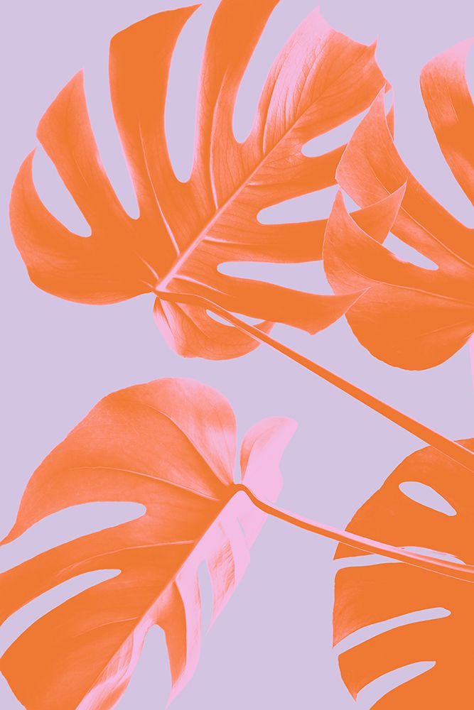 Monstera Purple 04 art print by 1x Studio III for $57.95 CAD