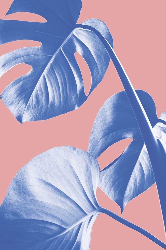 Monstera Purple 05 art print by 1x Studio III for $57.95 CAD