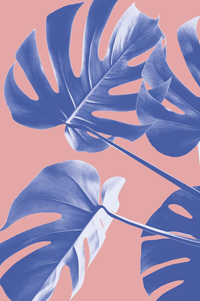 Monstera Purple 06 art print by 1x Studio III for $57.95 CAD