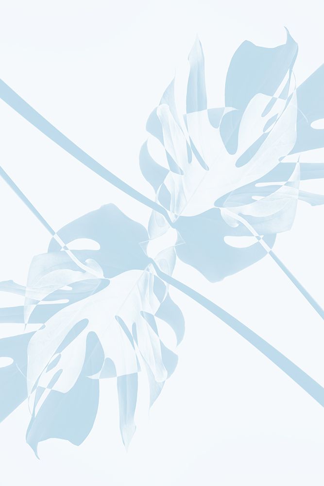 Monstera Kaleidoscope 06 art print by 1x Studio III for $57.95 CAD