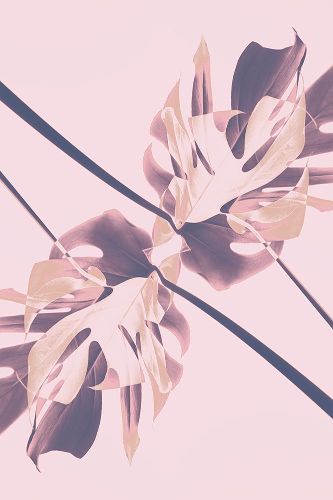 Monstera Kaleidoscope 07 art print by 1x Studio III for $57.95 CAD