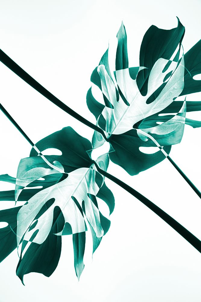 Monstera Kaleidoscope 08 art print by 1x Studio III for $57.95 CAD