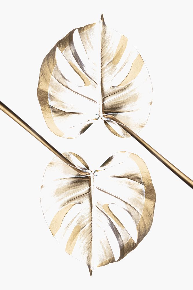 Monstera Gold 10 art print by 1x Studio III for $57.95 CAD