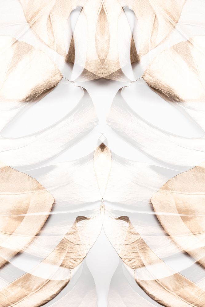 Monstera Gold 12 art print by 1x Studio III for $57.95 CAD