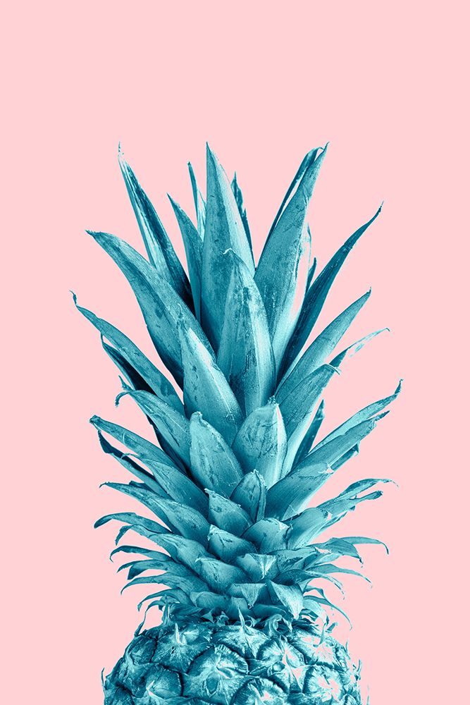 Pineapple Pink 07 art print by 1x Studio III for $57.95 CAD