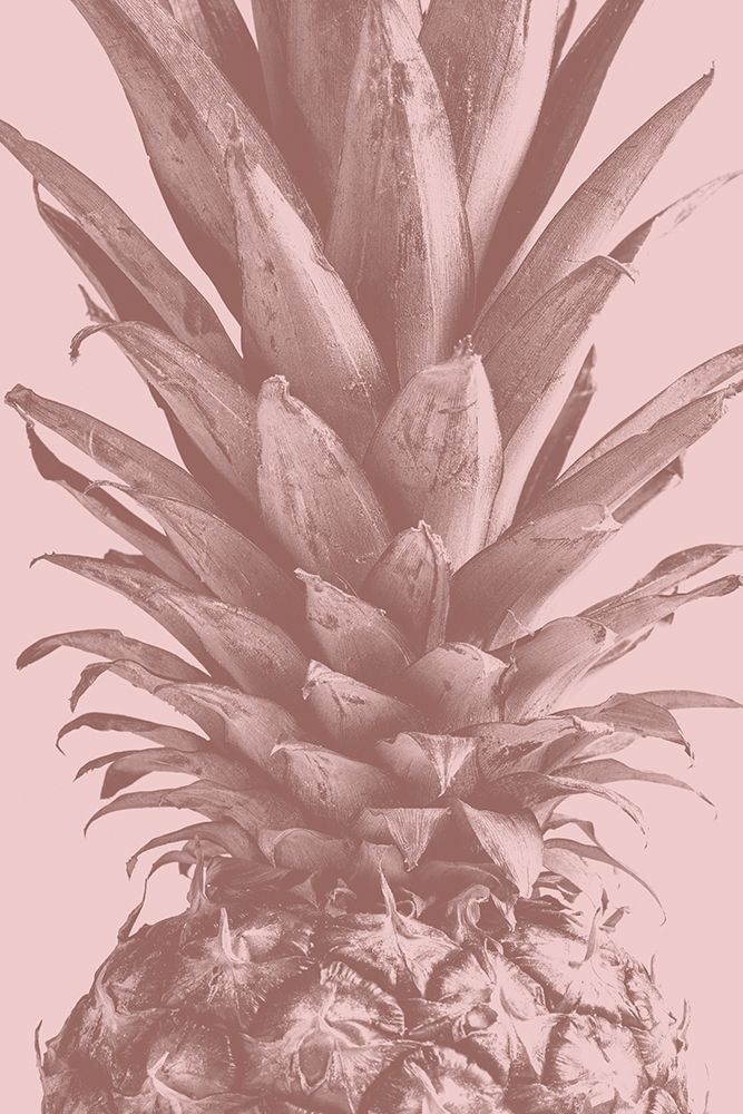 Pineapple Close Up 01 art print by 1x Studio III for $57.95 CAD