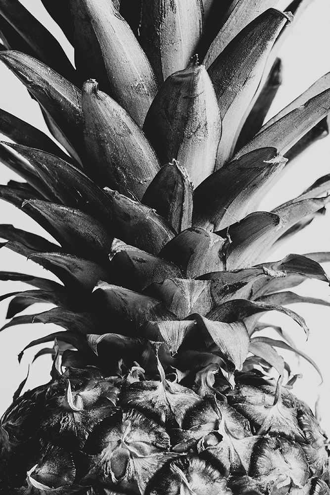 Pineapple Close Up 02 art print by 1x Studio III for $57.95 CAD