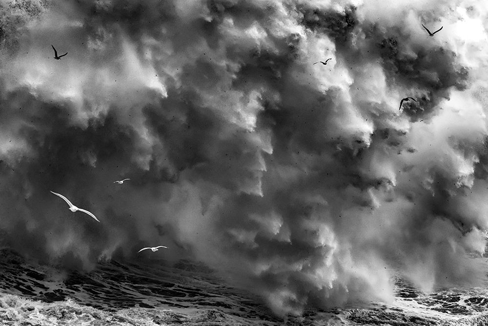 BIRDS IN THE STORM (Part 2) art print by Paolo Lazzarotti for $57.95 CAD