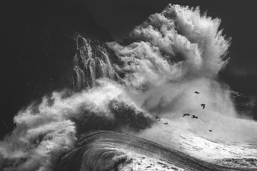 BIRDS IN THE STORM (Part 4) art print by Paolo Lazzarotti for $57.95 CAD
