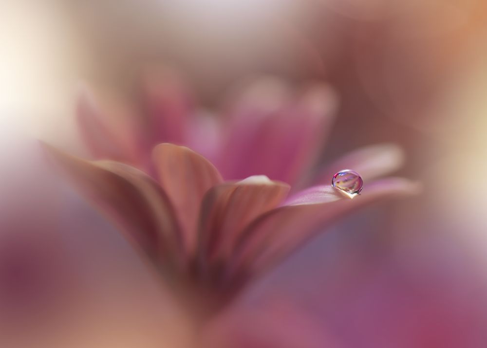 Untitled art print by Juliana Nan for $57.95 CAD