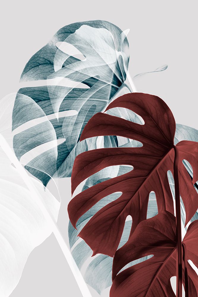 Monstera Creative 18 art print by 1x Studio III for $57.95 CAD