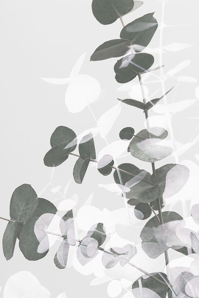Eucalyptus Creative 09 art print by 1x Studio III for $57.95 CAD